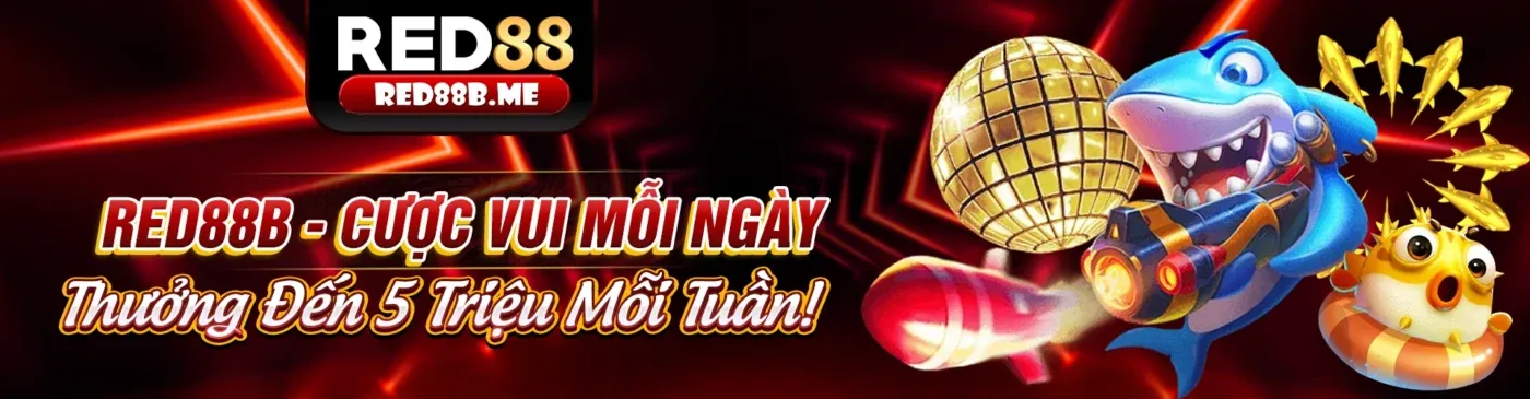 Thực hành thường xuyên